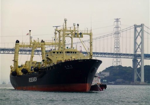Japanese whaling vessel