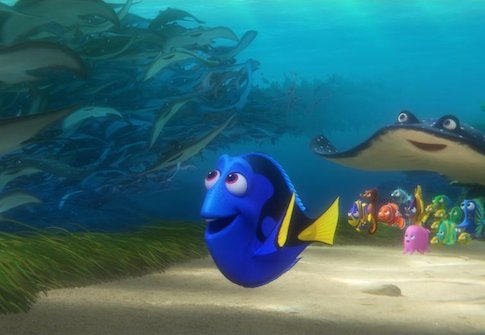 Finding Dory
