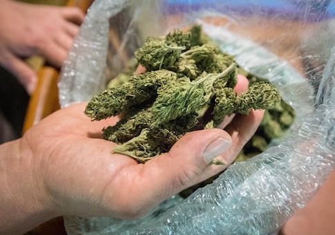 marijuana