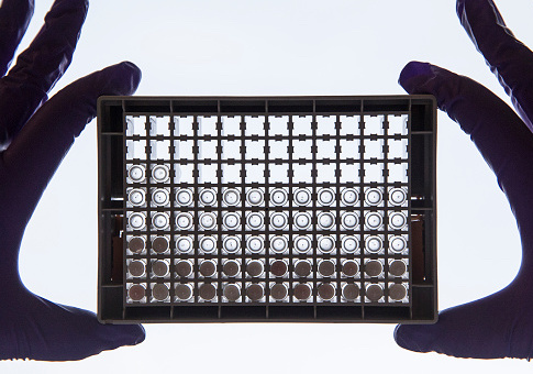 A cancer research scientist examining cells in a 96-well plate / Getty Images