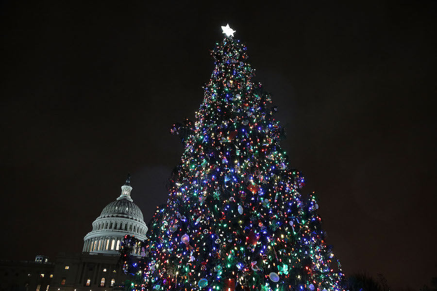 Capitol Hill Christmas Tree Lighting Ceremony