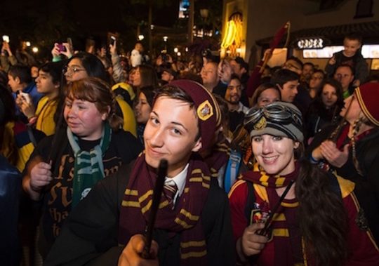 Harry Potter fans
