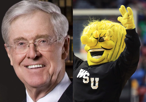 Koch shockers