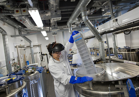 woman scientist
