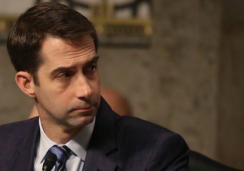 Tom Cotton