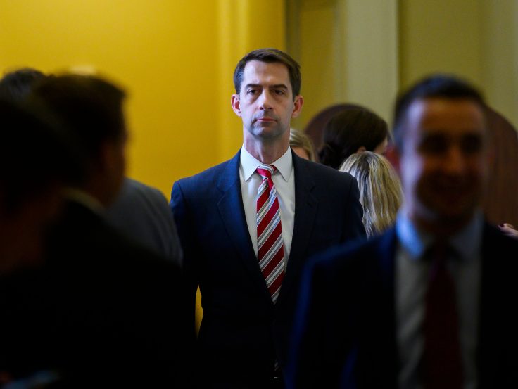Tom Cotton