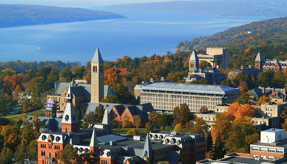 Cornell
