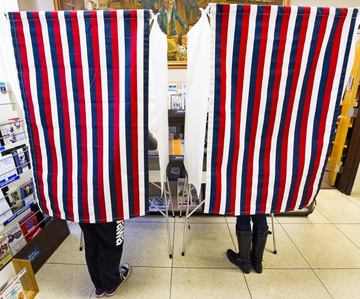 Texas voting