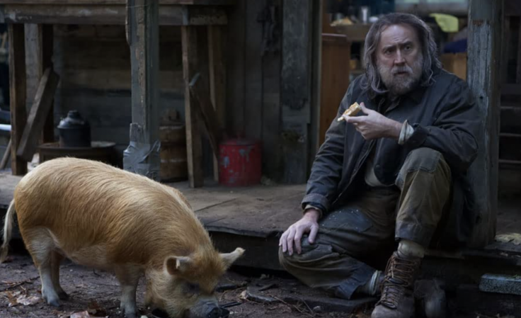 PIG