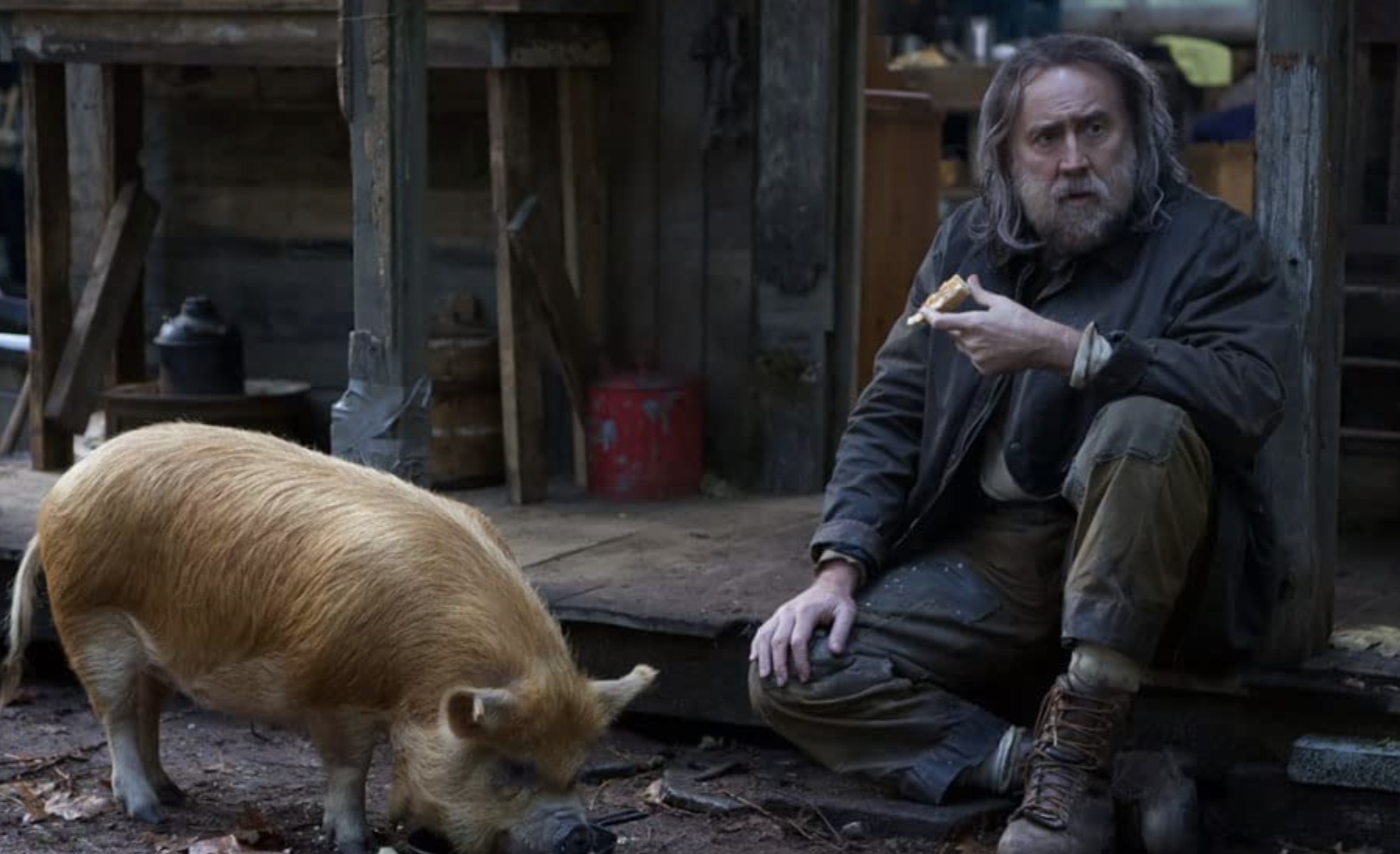 PIG