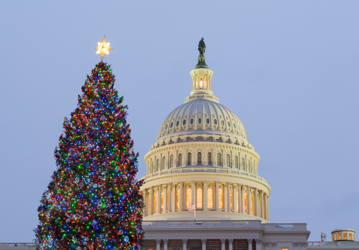 Christmas tree in front of Capitol Washington DC