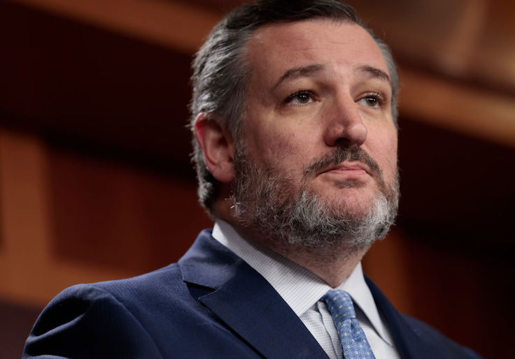 Senator Cruz